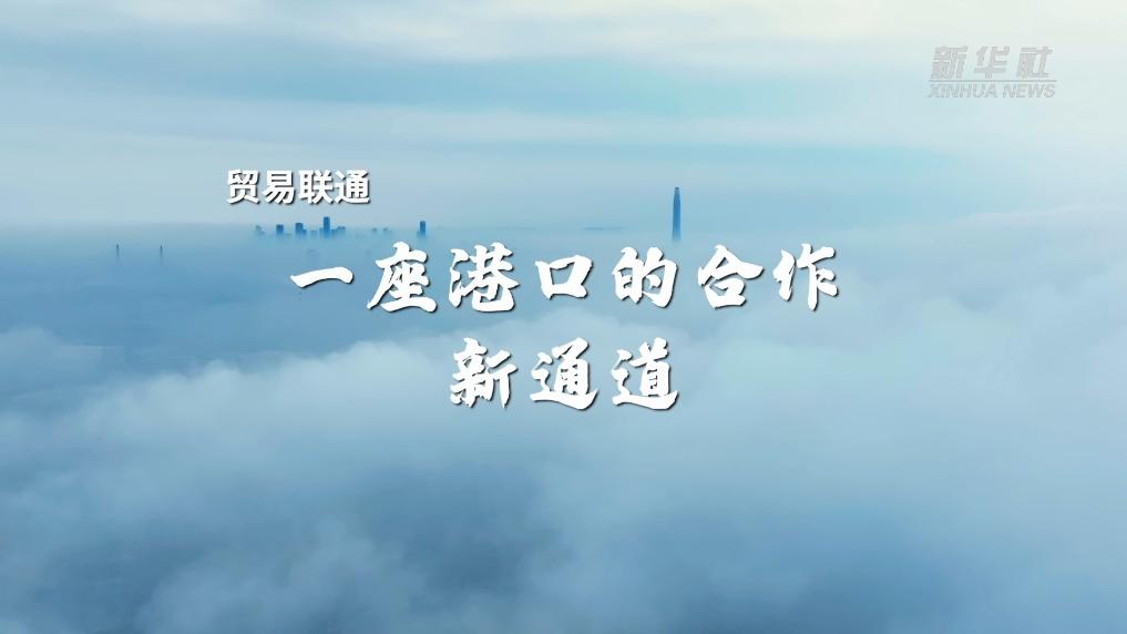 上合天津峰会 | 贸易联通：一座港口的合作新通道