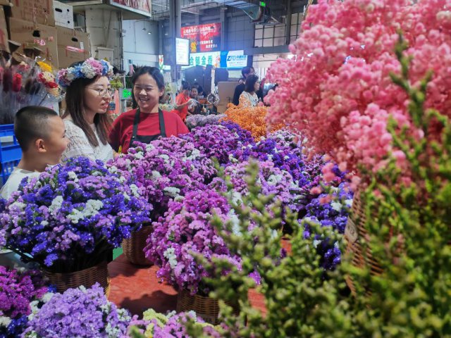 直播电商助力云南“鲜花经济”持续火热