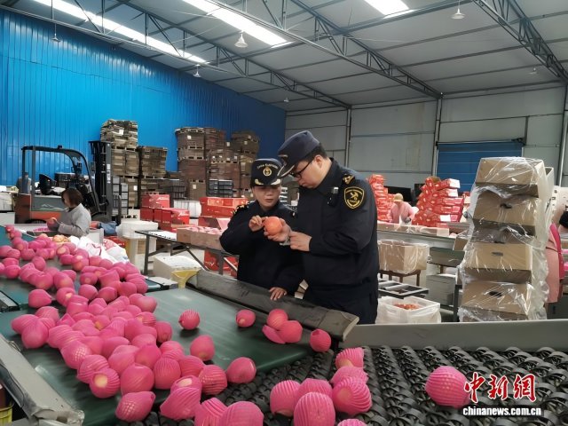 甘肃五年进出口总值平均增速近15% 百余种产品实现首次出口