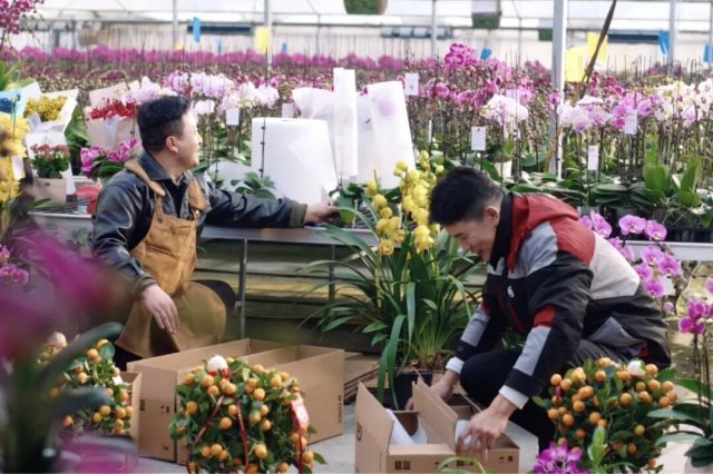 提高福利、加大新技术投入，快递行业春节期间全力保供